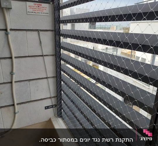 רשת מתכת מותקנת על חלון למניעת כניסת יונים